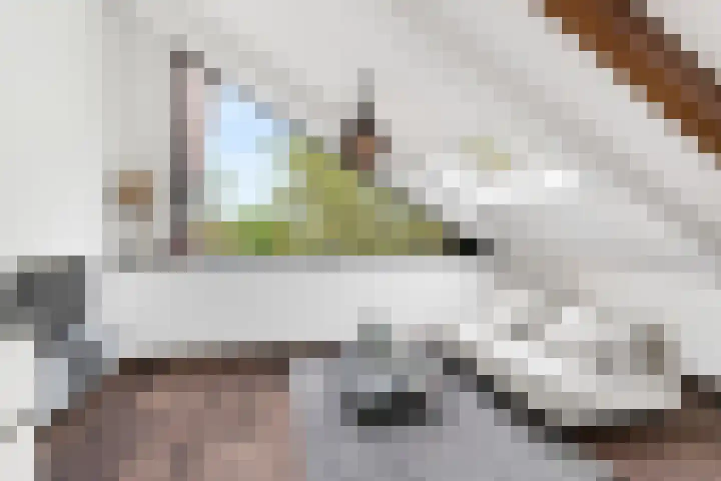 Korianderstraat 52 Eindhoven thumbnail 20
