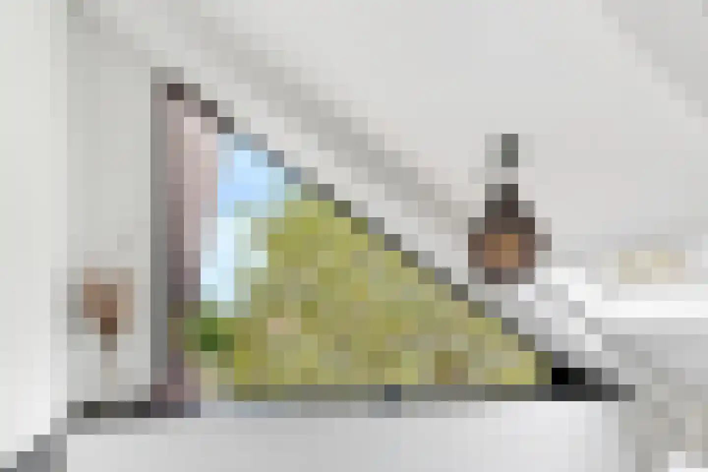 Korianderstraat 52 Eindhoven thumbnail 22