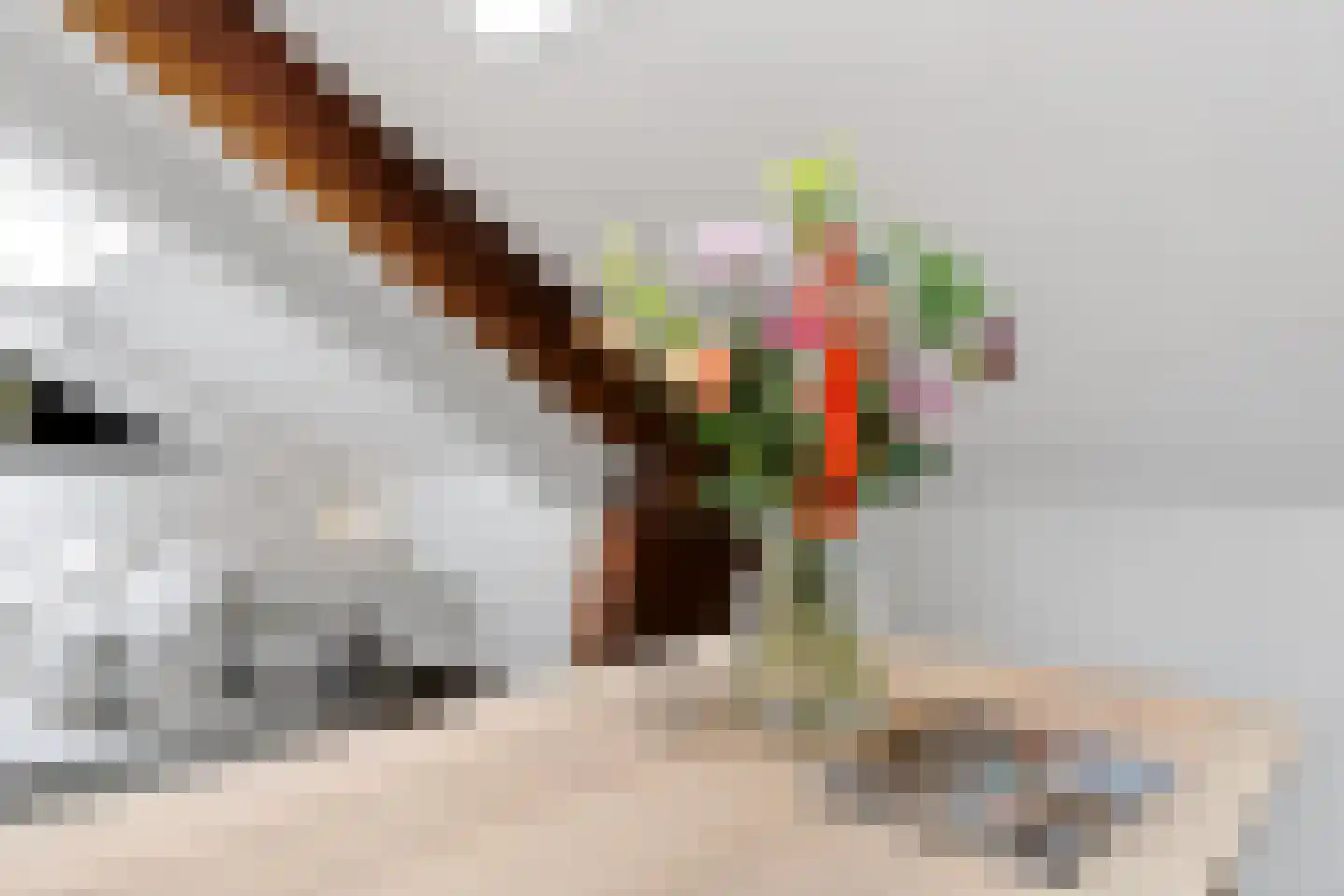 Korianderstraat 52 Eindhoven thumbnail 25