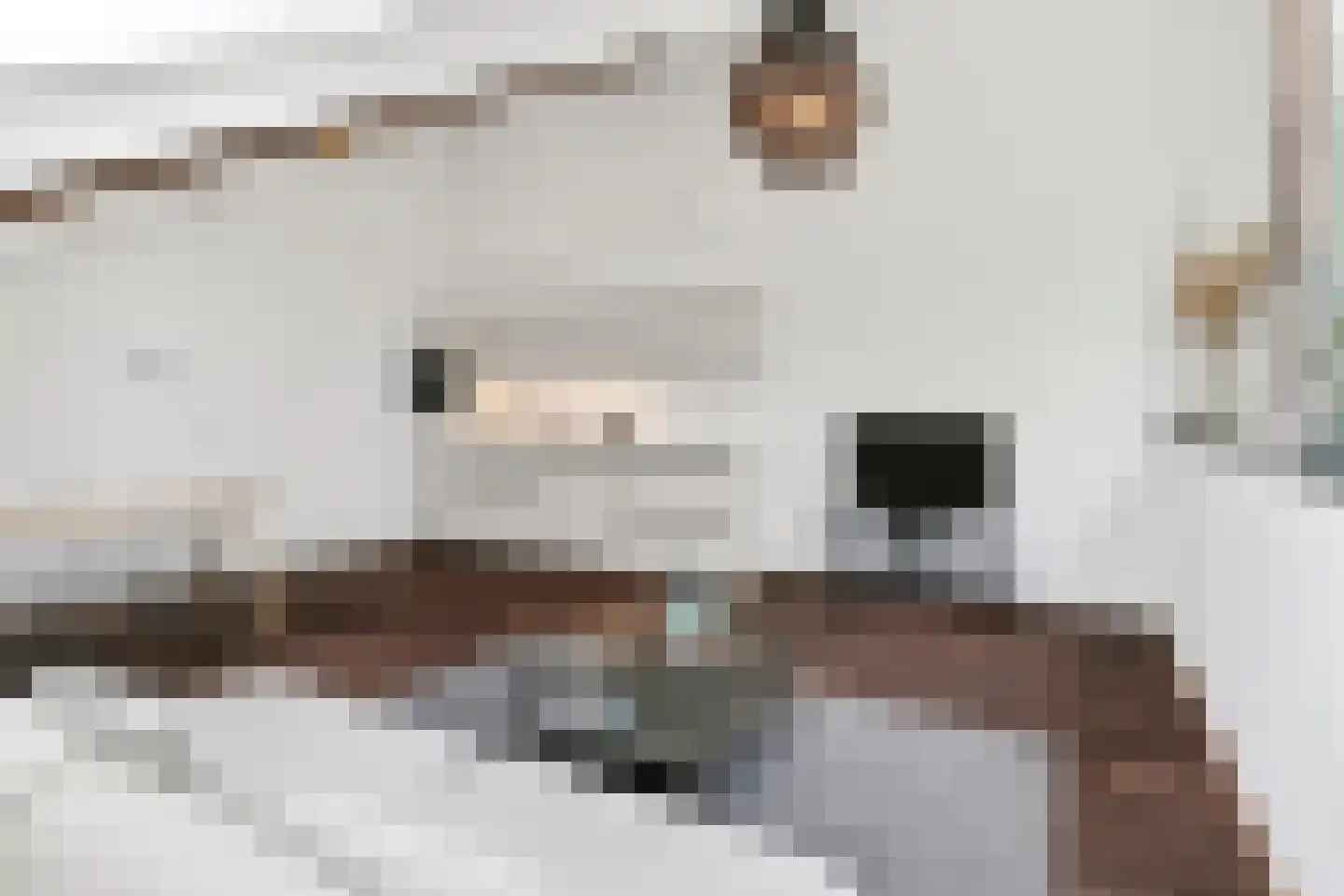 Korianderstraat 52 Eindhoven thumbnail 26