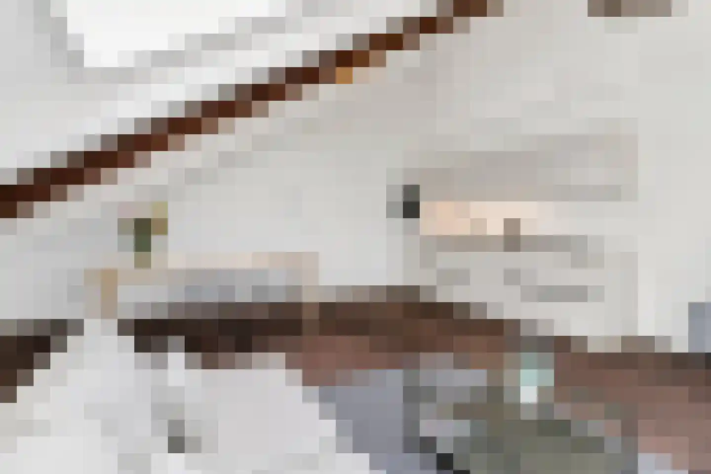 Korianderstraat 52 Eindhoven thumbnail 27