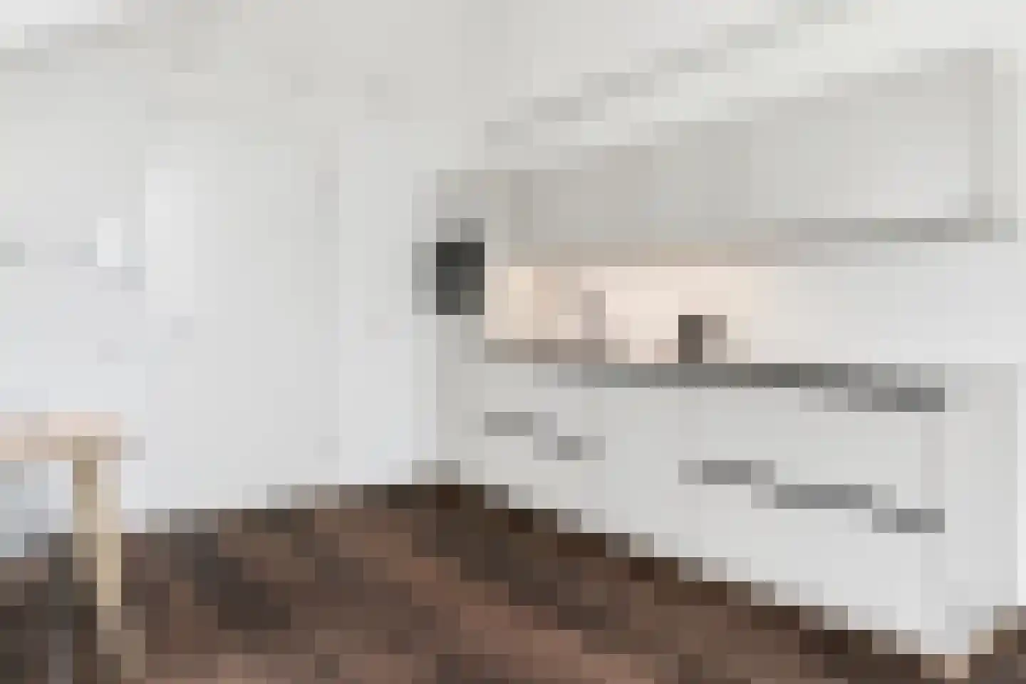 Korianderstraat 52 Eindhoven thumbnail 28