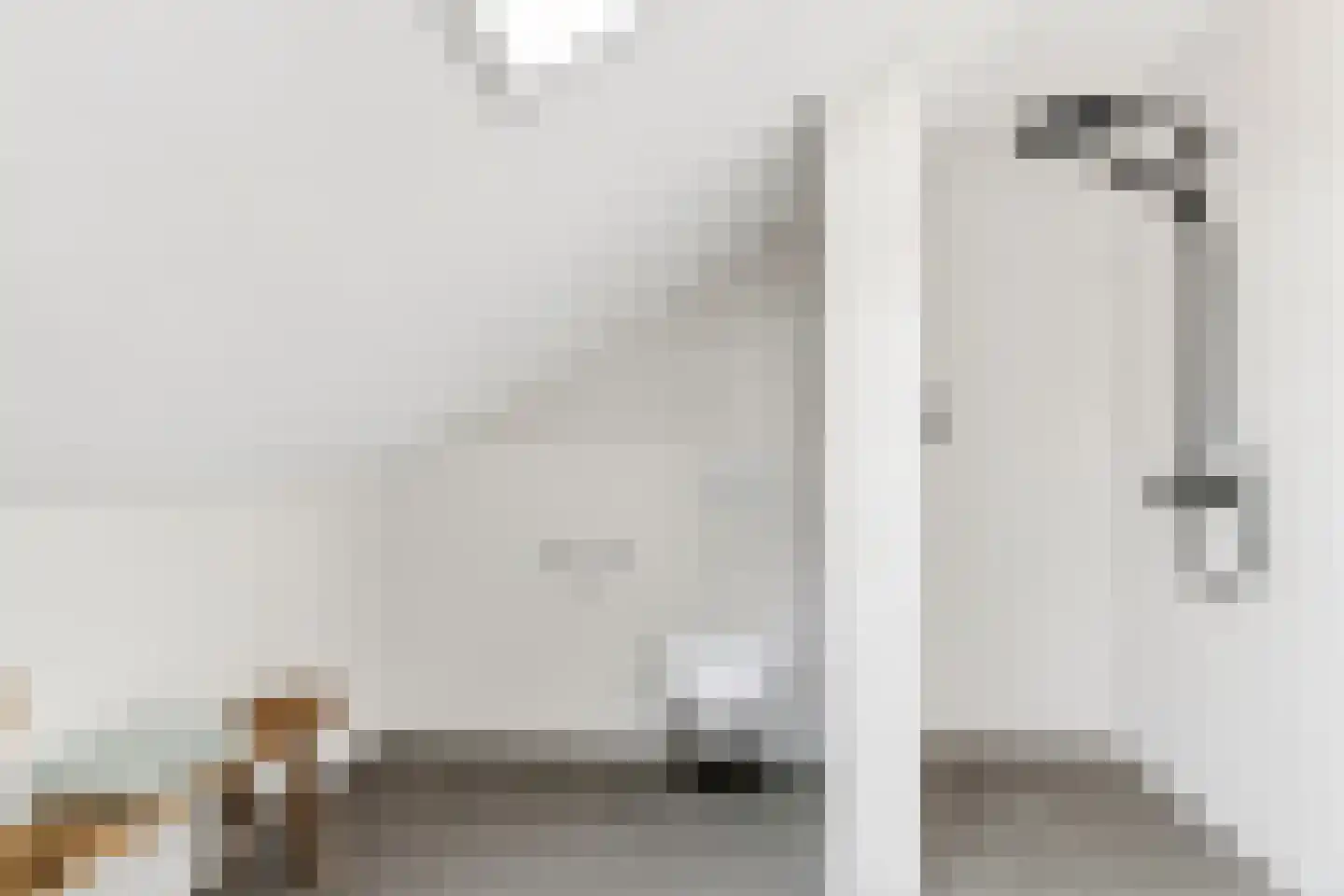 Korianderstraat 52 Eindhoven thumbnail 32