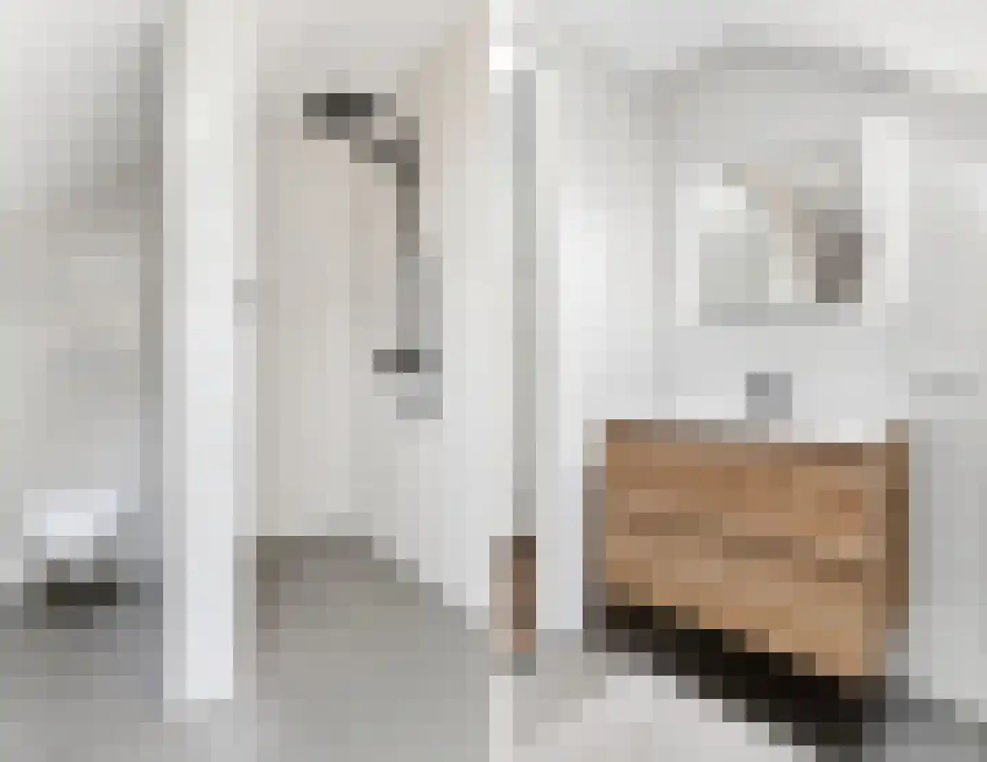 Korianderstraat 52 Eindhoven thumbnail 34
