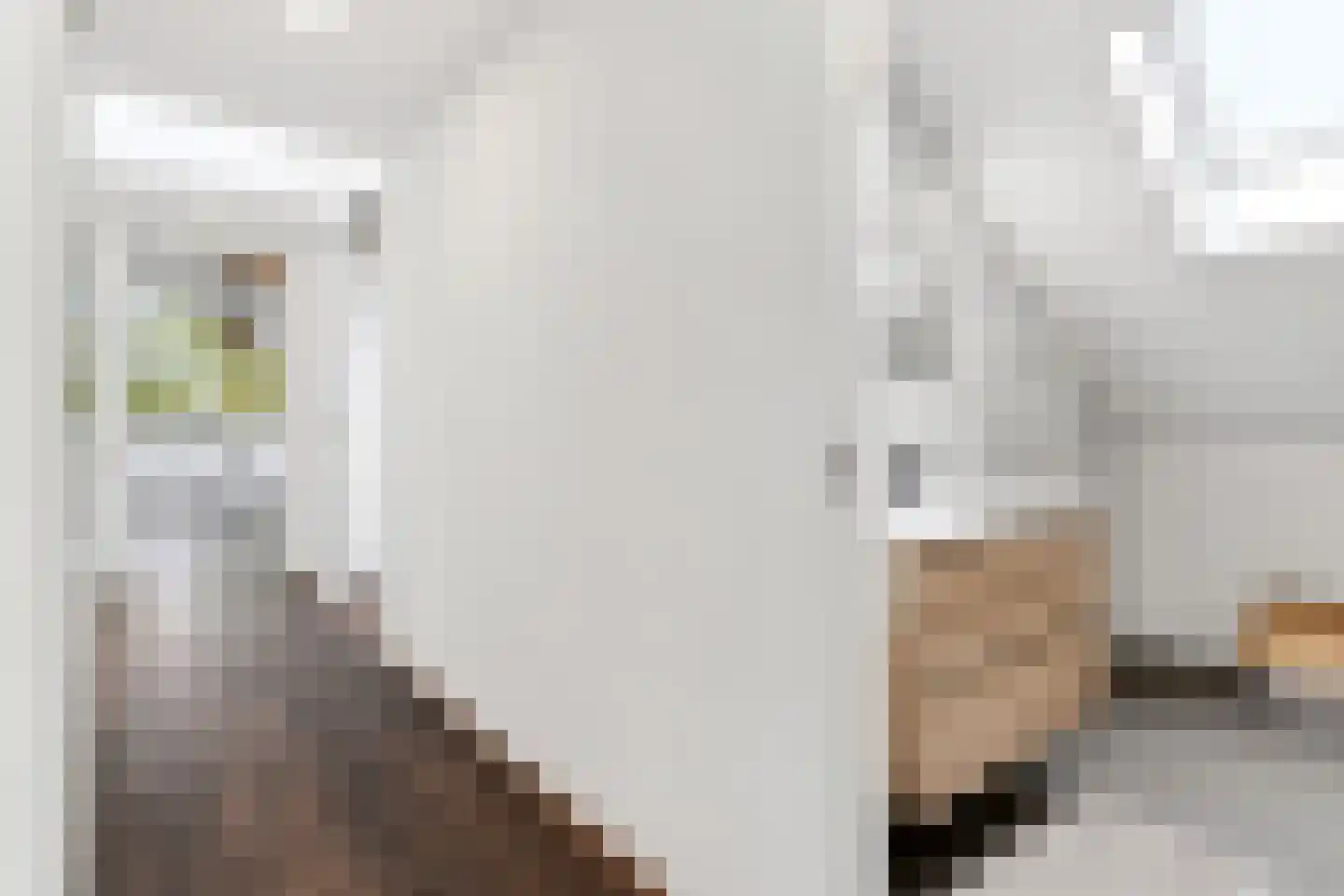 Korianderstraat 52 Eindhoven thumbnail 35