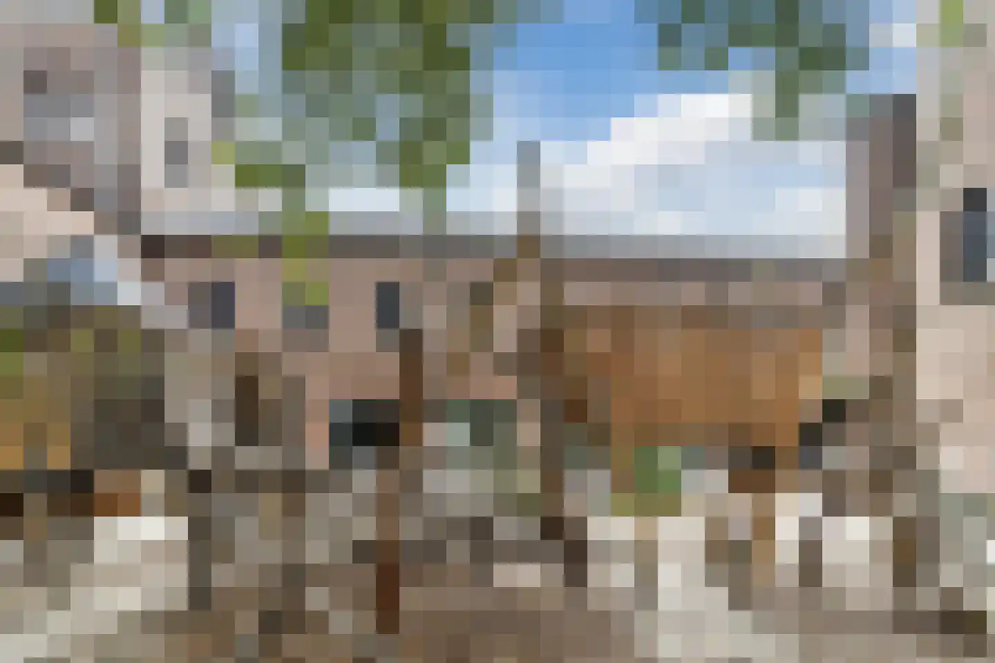 Korianderstraat 52 Eindhoven thumbnail 39