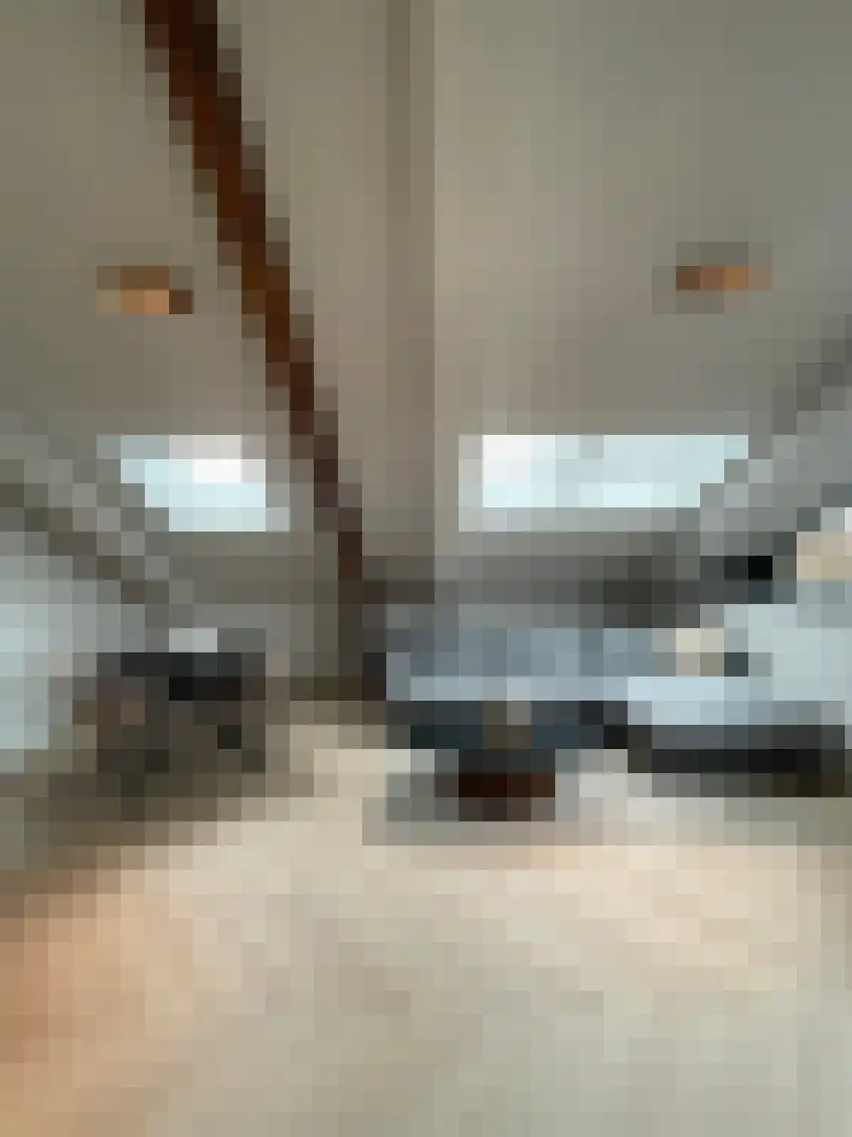 Korianderstraat 52 Eindhoven thumbnail 4