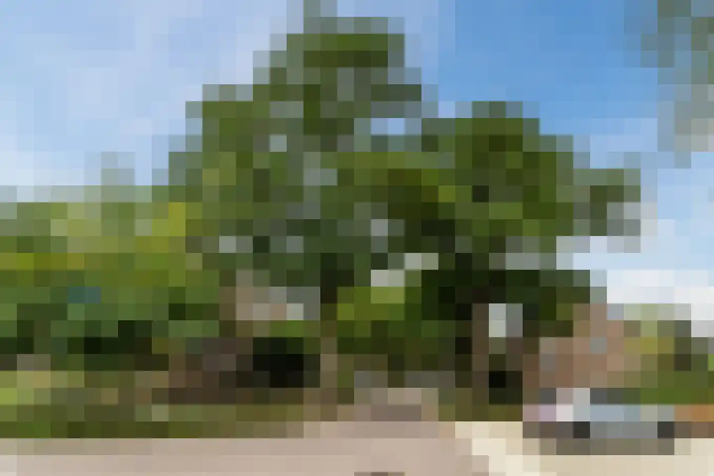 Korianderstraat 52 Eindhoven thumbnail 44