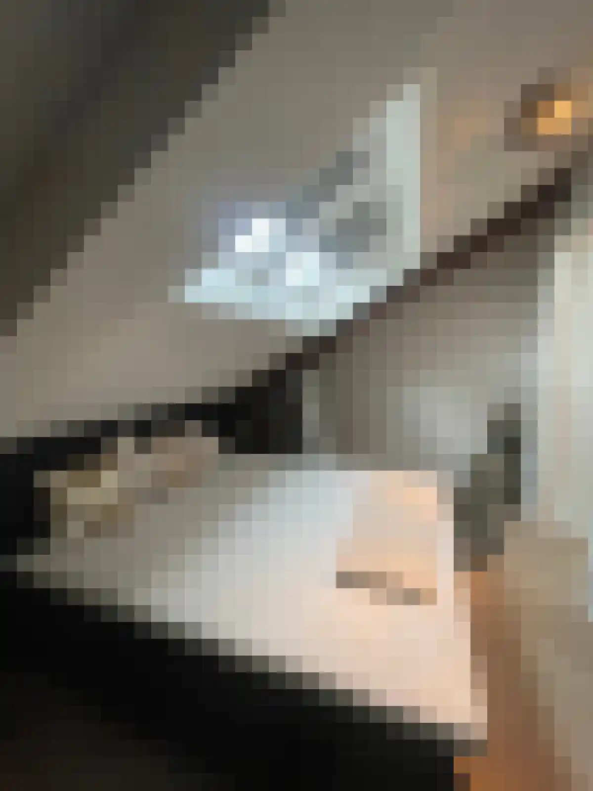 Korianderstraat 52 Eindhoven thumbnail 5
