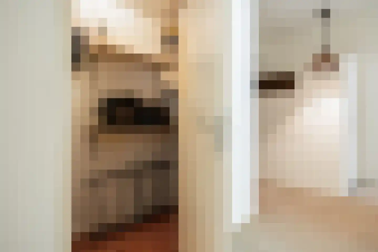 Korianderstraat 6 Apeldoorn thumbnail 20