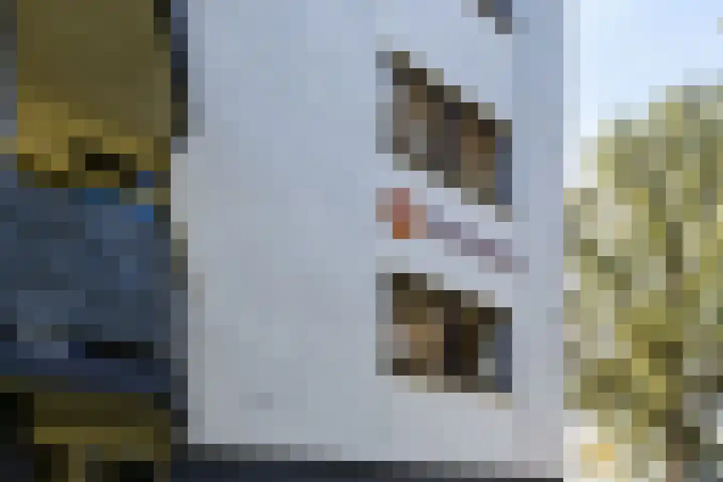 Korianderstraat 6 Apeldoorn thumbnail 37