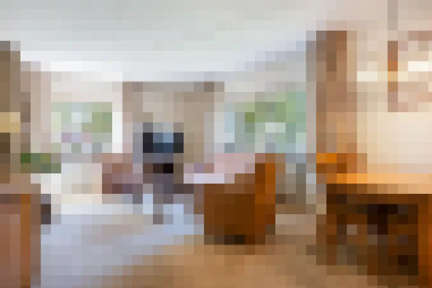 Korianderstraat 6 Apeldoorn thumbnail 4