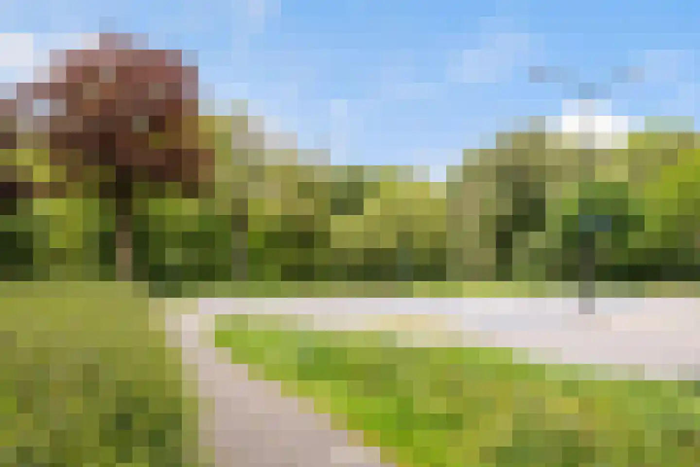 Korianderstraat 64 Apeldoorn thumbnail 33