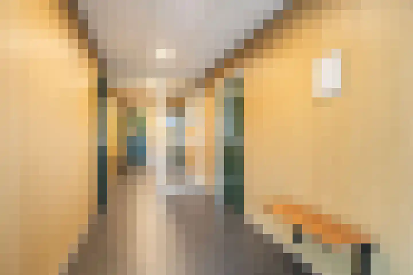 Korianderstraat 64 Apeldoorn thumbnail 5