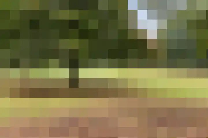 Korianderstraat 80 Apeldoorn thumbnail 35