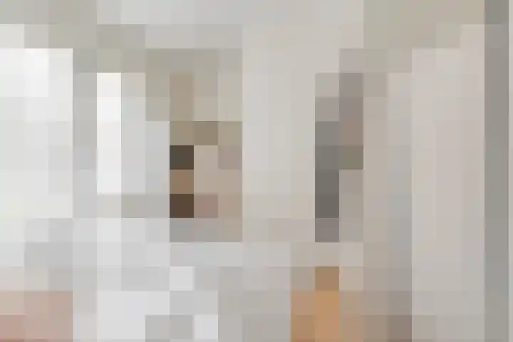 Korianderstraat 82 Eindhoven thumbnail 12
