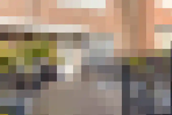 Korianderstraat 82 Eindhoven thumbnail 28
