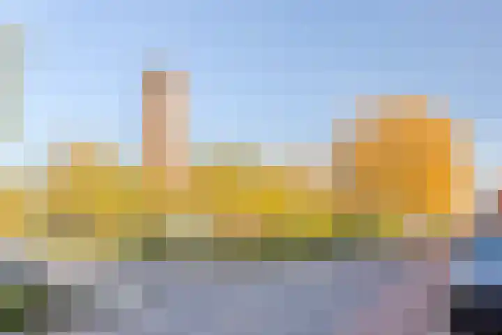 Korianderstraat 82 Eindhoven thumbnail 30