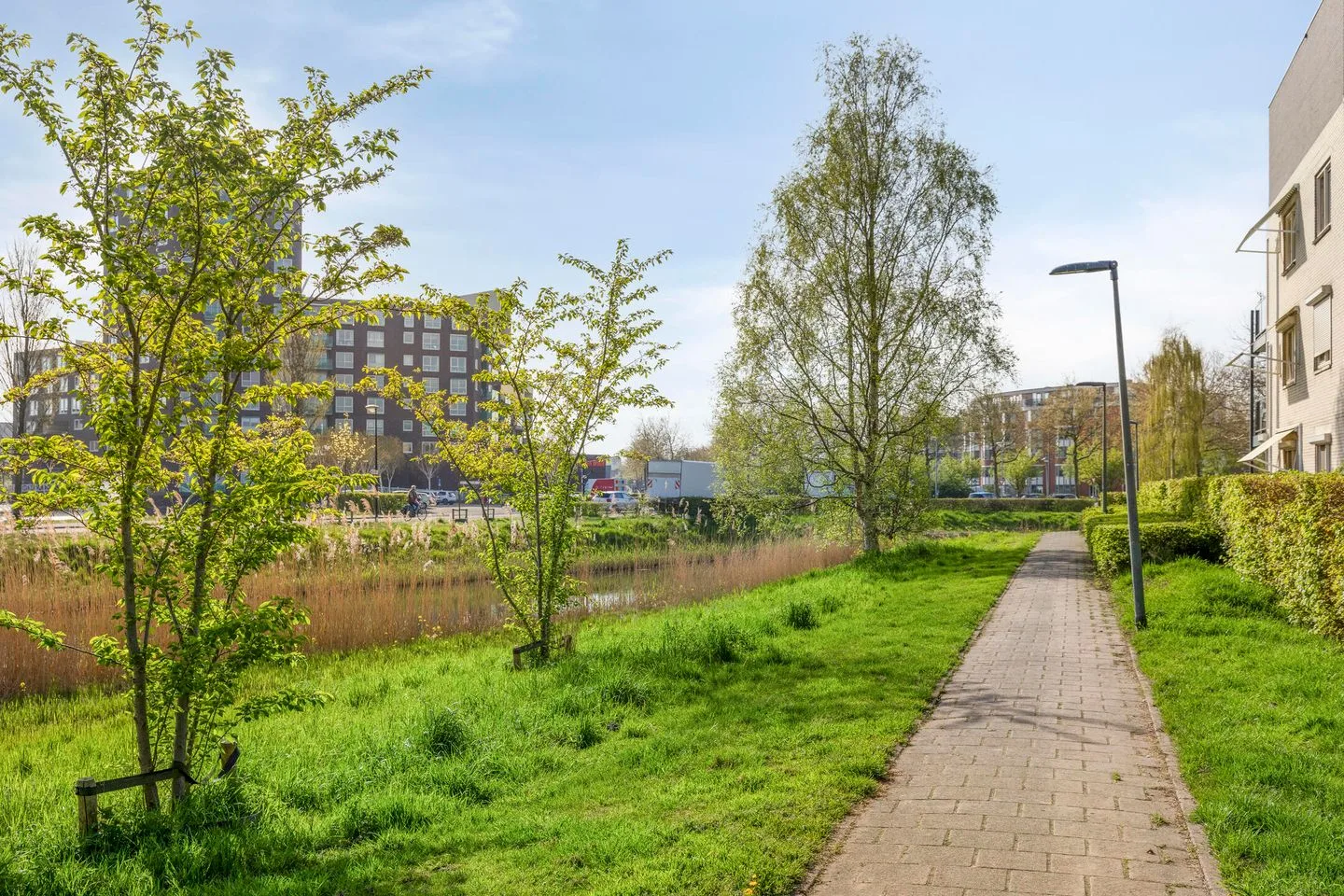 Korianderveld 5 Schiedam thumbnail 23