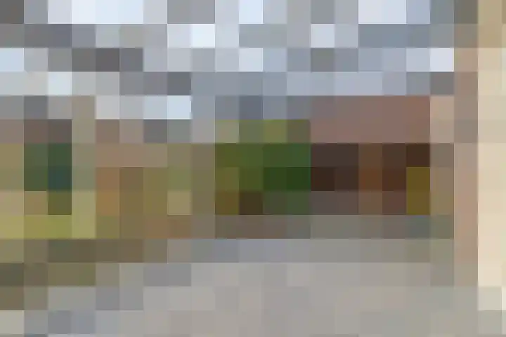 Korianderweg 42 Groningen thumbnail 23