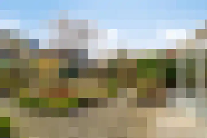 Korianderweg 42 Groningen thumbnail 26