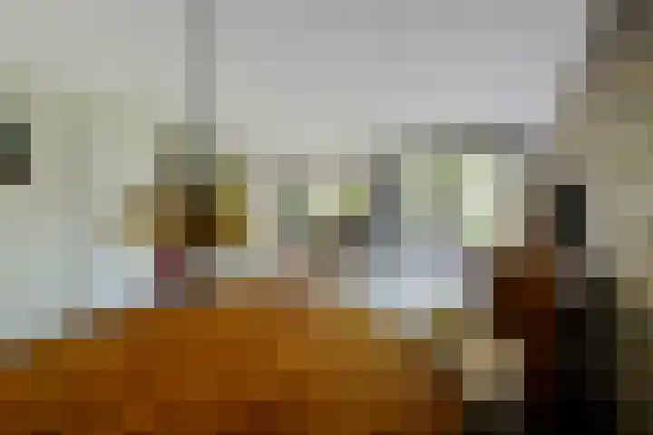 Korinthestraat 6 Zoetermeer thumbnail 11