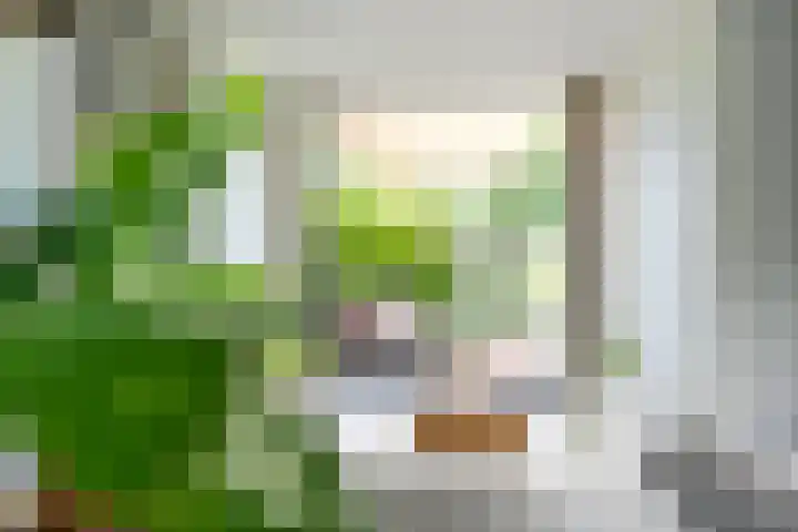 Korinthestraat 6 Zoetermeer thumbnail 12