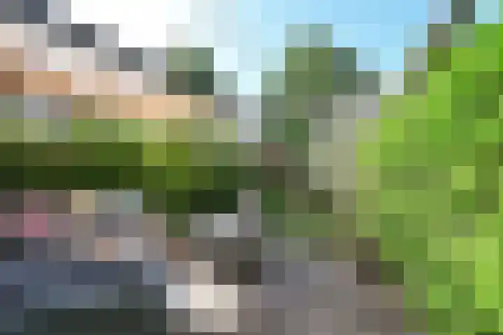 Korinthestraat 6 Zoetermeer thumbnail 13