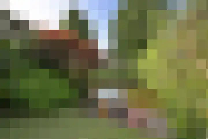 Korinthestraat 6 Zoetermeer thumbnail 15