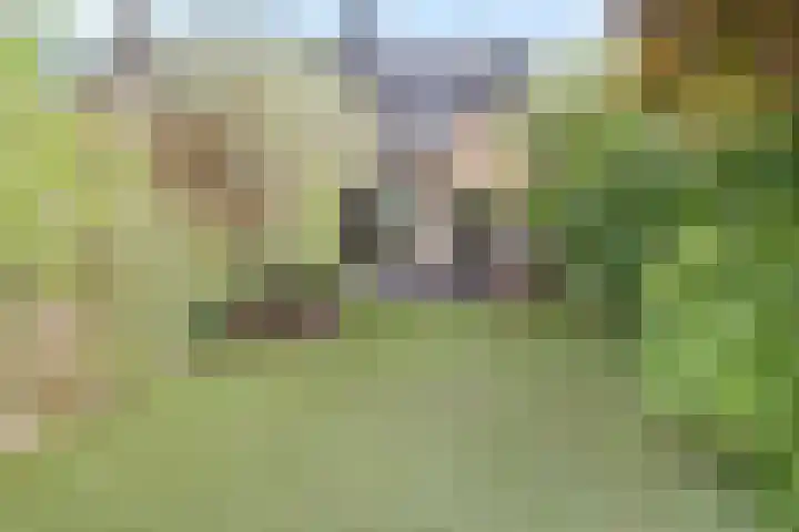 Korinthestraat 6 Zoetermeer thumbnail 16