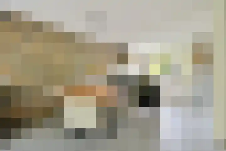 Korinthestraat 6 Zoetermeer thumbnail 20