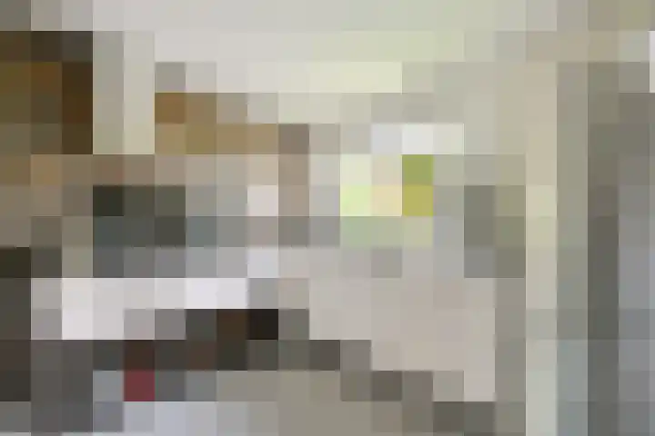 Korinthestraat 6 Zoetermeer thumbnail 21