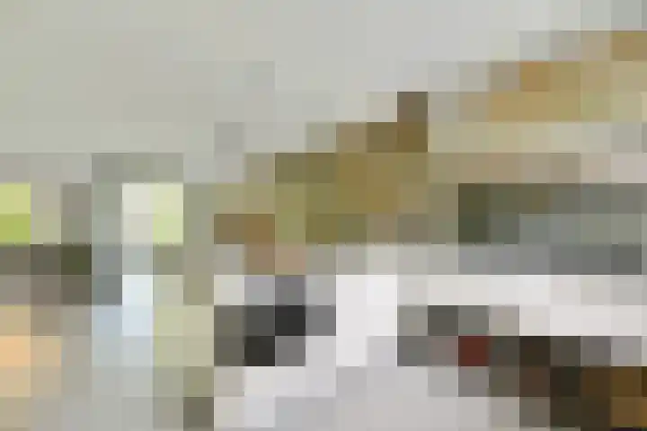 Korinthestraat 6 Zoetermeer thumbnail 22