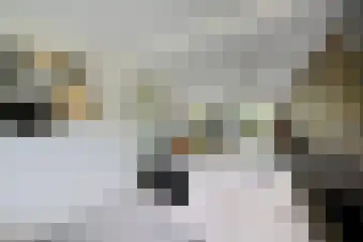 Korinthestraat 6 Zoetermeer thumbnail 23