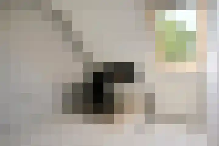 Korinthestraat 6 Zoetermeer thumbnail 29