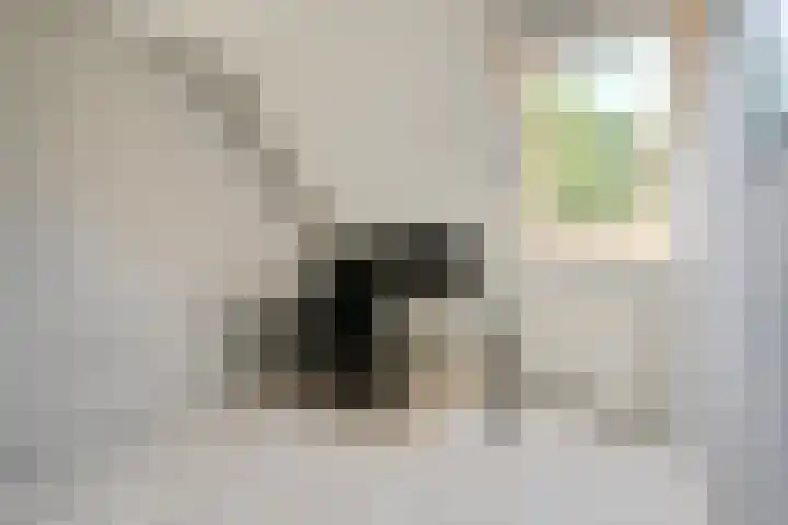 Korinthestraat 6 Zoetermeer thumbnail 30