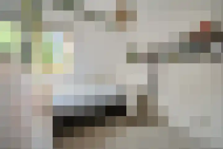 Korinthestraat 6 Zoetermeer thumbnail 35