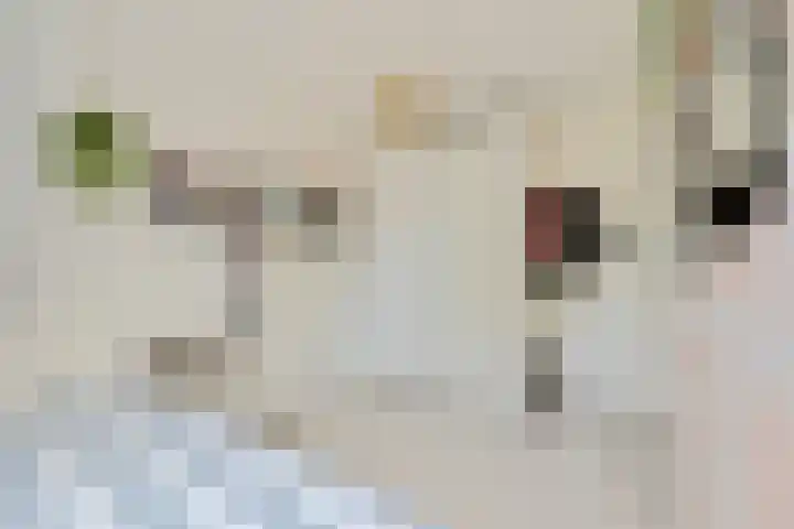 Korinthestraat 6 Zoetermeer thumbnail 36