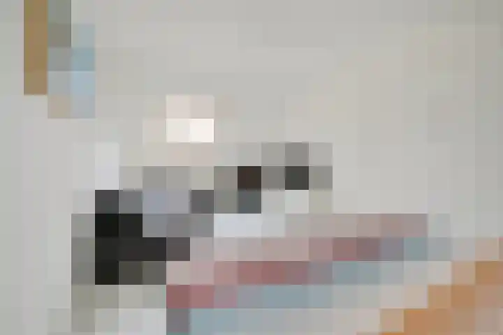 Korinthestraat 6 Zoetermeer thumbnail 41