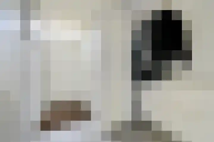 Korinthestraat 6 Zoetermeer thumbnail 8