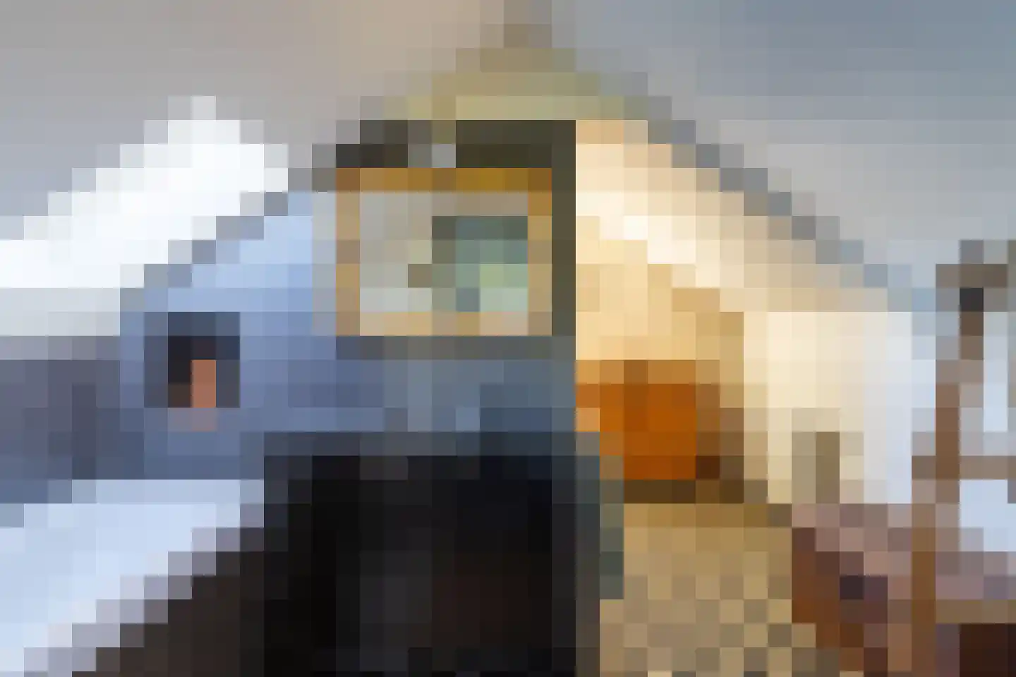 Korn 27 Dussen thumbnail 24