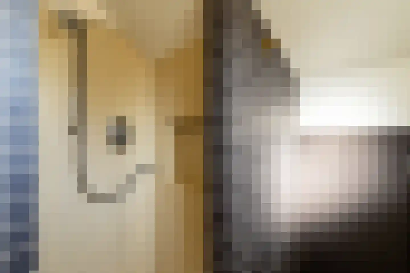 Korn 27 Dussen thumbnail 28