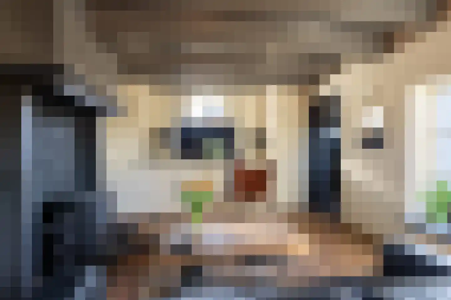 Korn 27 Dussen thumbnail 4
