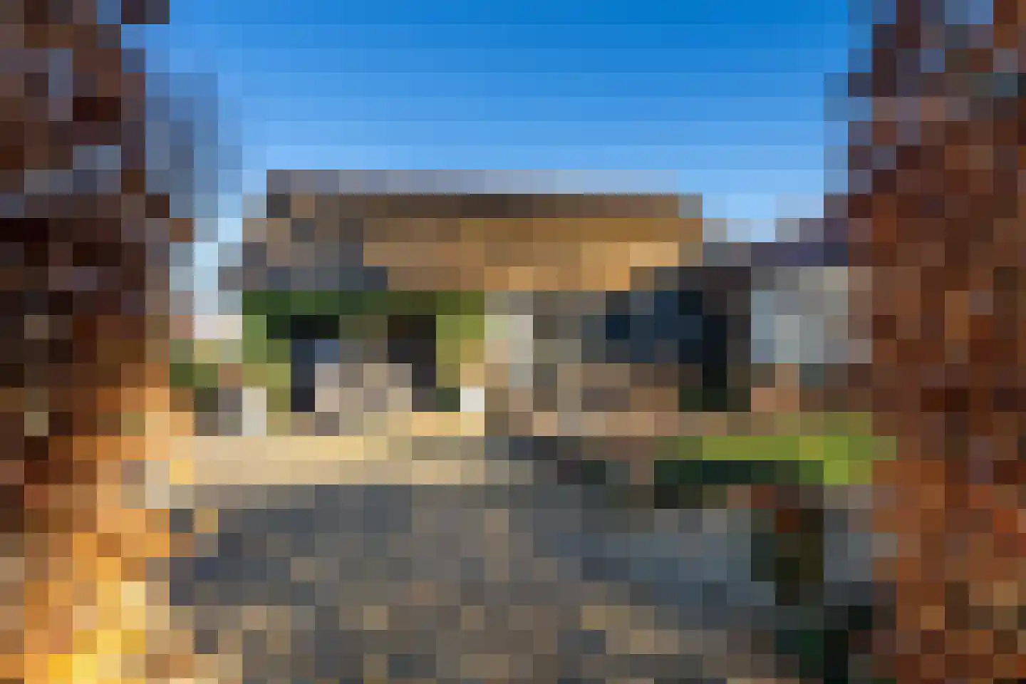 Korn 27 Dussen thumbnail 43