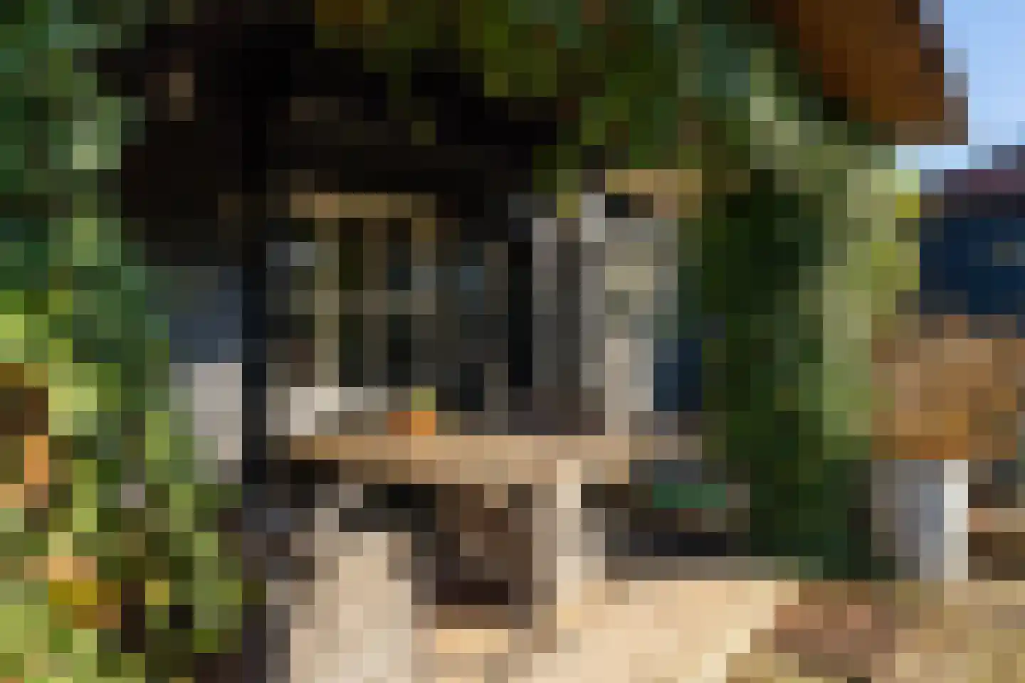 Korn 27 Dussen thumbnail 48