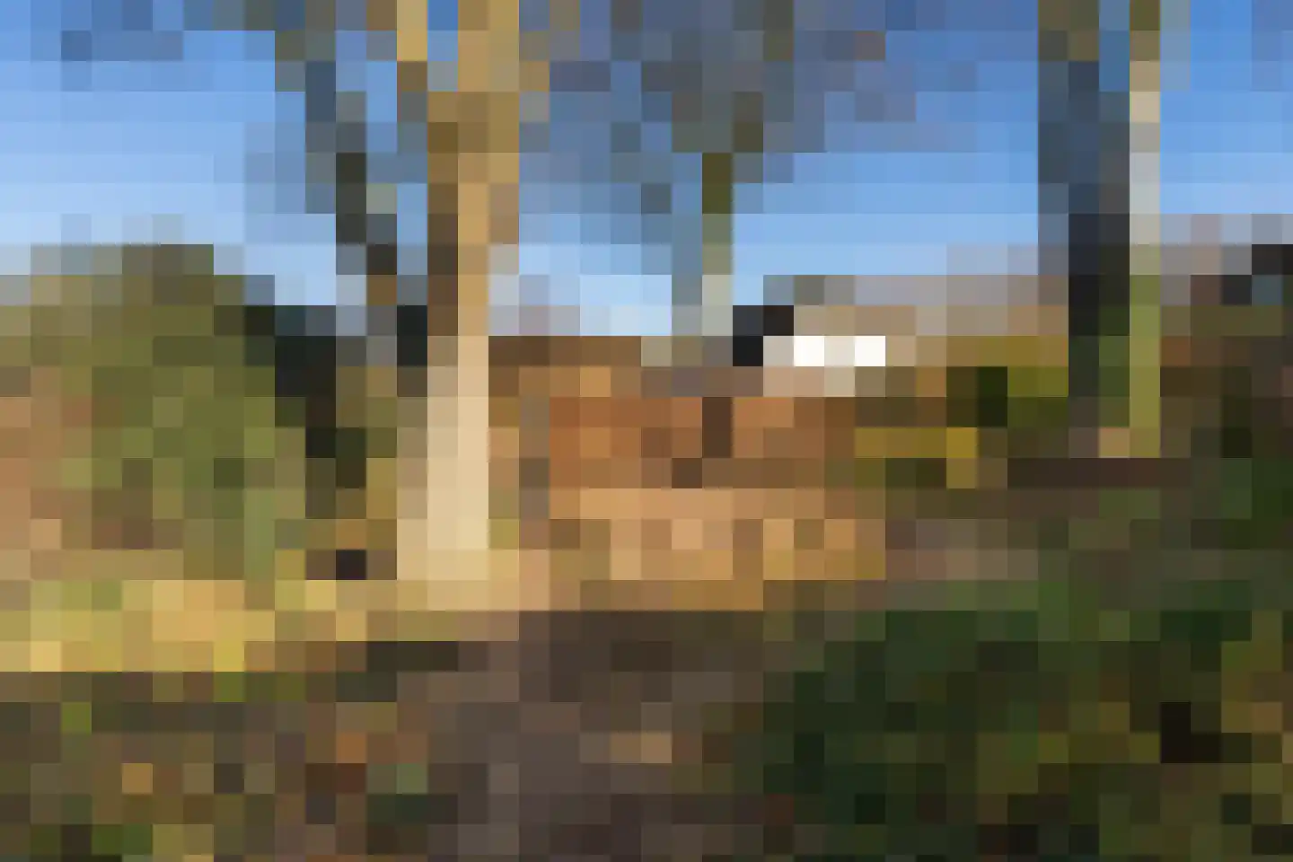 Korn 27 Dussen thumbnail 52