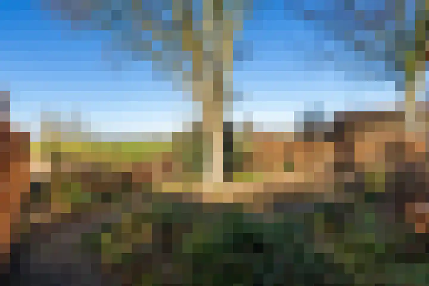Korn 27 Dussen thumbnail 53
