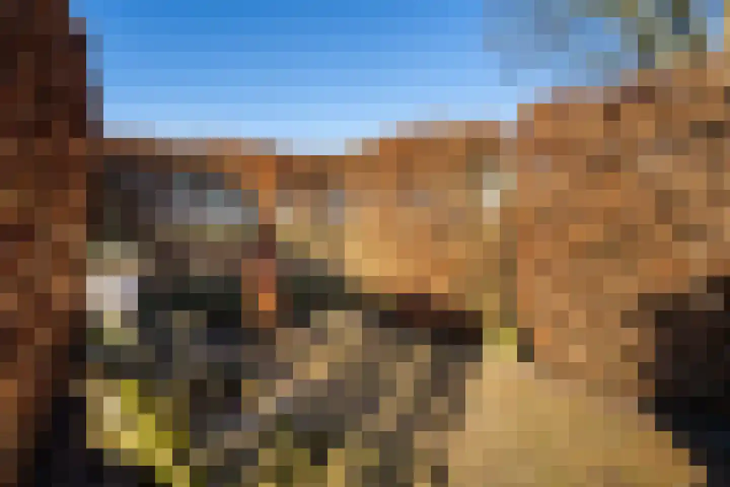 Korn 27 Dussen thumbnail 54