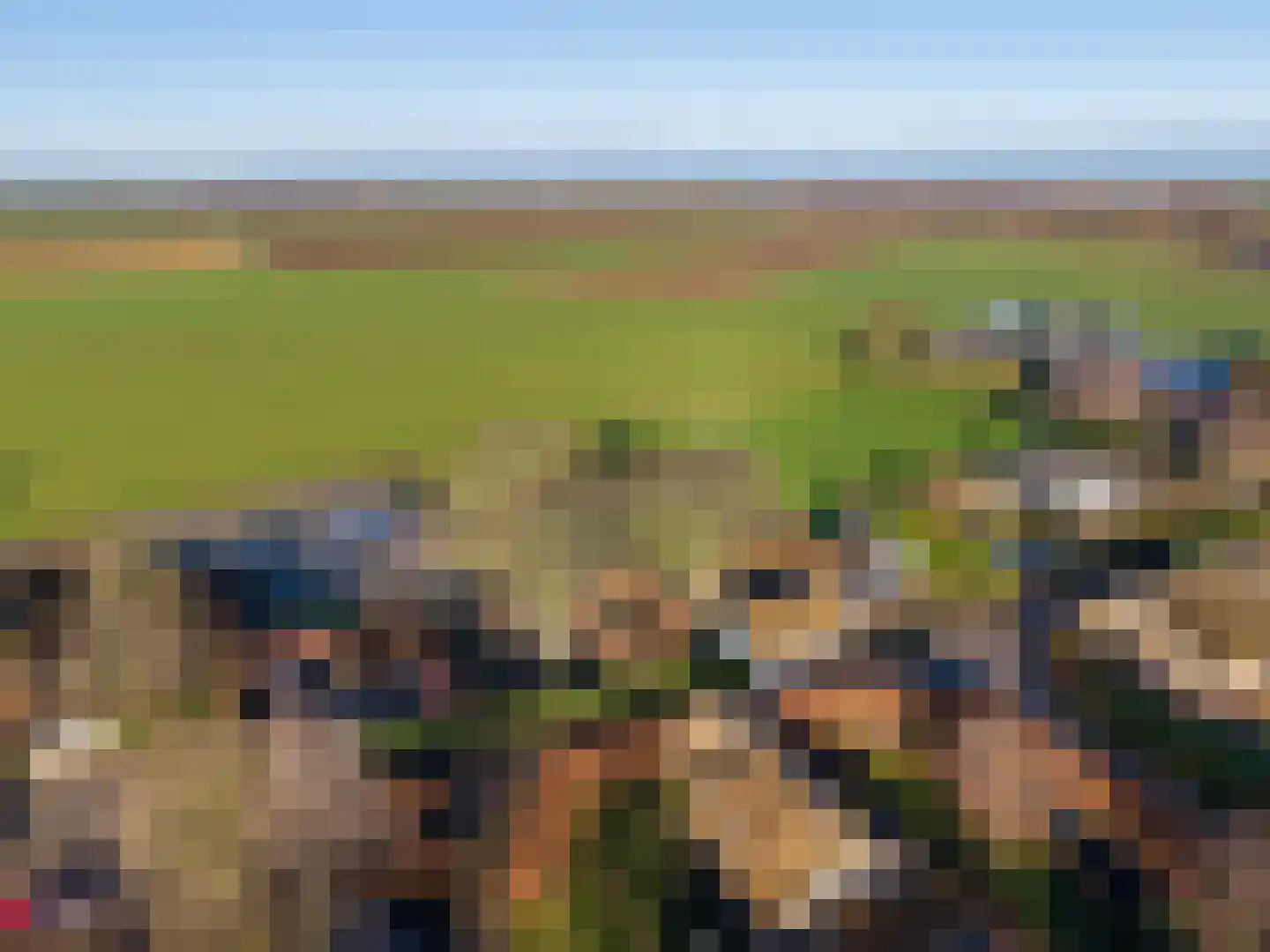 Korn 27 Dussen thumbnail 6