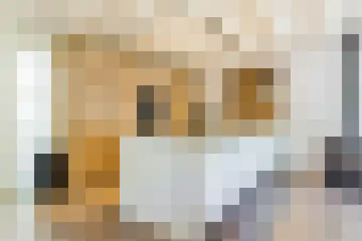 Korn 36 Dussen thumbnail 14
